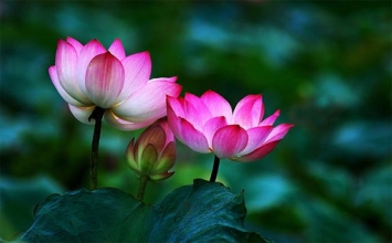 Thấy có tương ưng